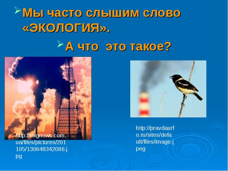 Мы часто слышим слово «ЭКОЛОГИЯ».
Мы часто слышим слово «ЭКОЛОГИЯ».
А Мы часто слышим слово «ЭКОЛОГИЯ».
Мы часто слышим слово «ЭКОЛОГИЯ».
А