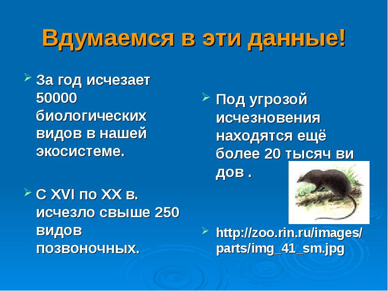 Охрана природы презентация 6 класс презентация биология