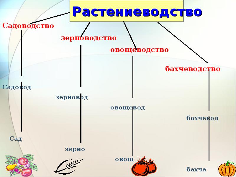 Схема отрасли растениеводства