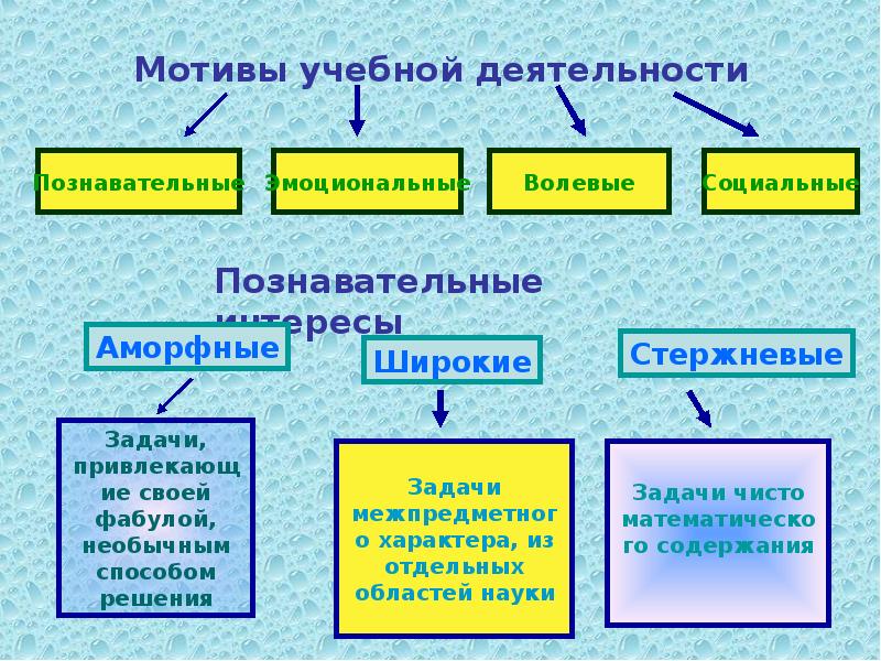 Изменяются ли виды. Преобладающие мотивы учебной деятельности учащихся. Мотивы учебной деятельности школьников. Мотивация к учебной деятельности. Ведущие мотивы учебной деятельности.