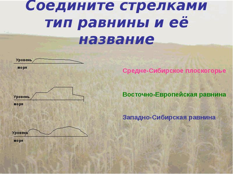 Ветра равнин название. Ветра равнин название. Классификация равнин по высоте таблица. Российская равнина на карте. Рельеф равнины.