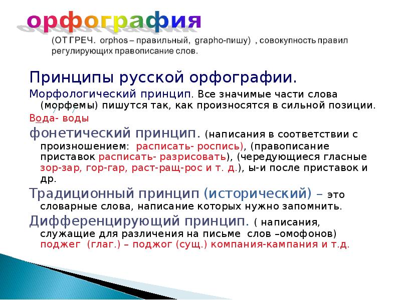 Принципы русской орфографии типы с примерами