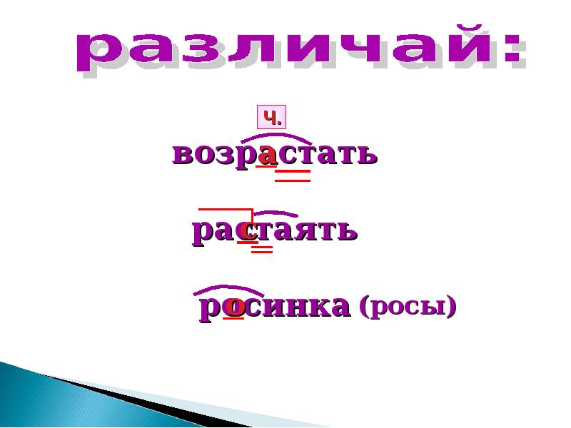 Корень слова действия. Роса Росинка корень слова. В слове роса Росинка какой корень.