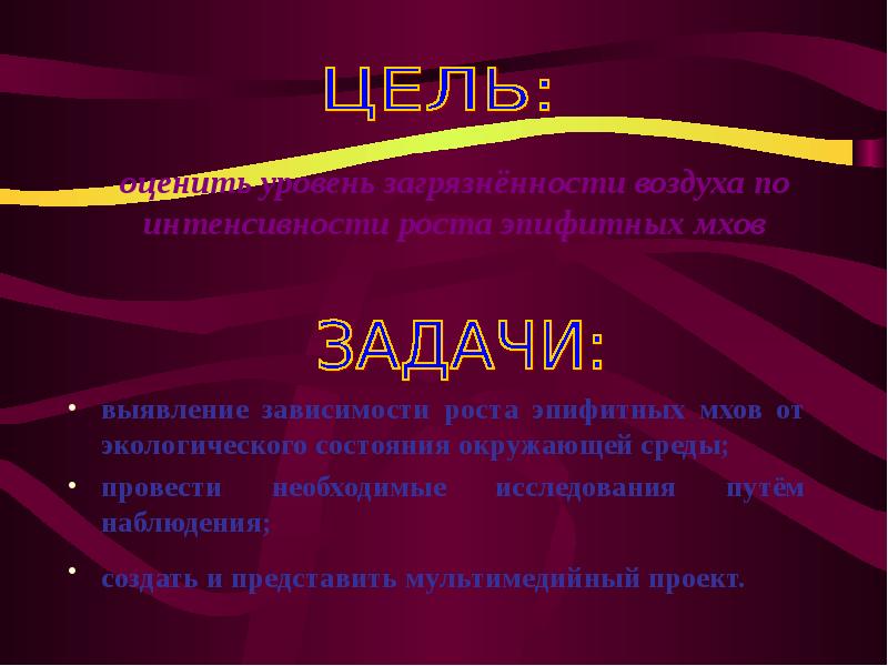 Индикация чистоты воздуха с помощью эпифитных мхов проект