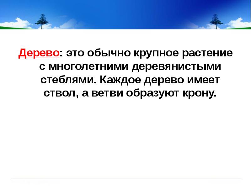 Дерево: это обычно крупное растение с многолетними деревянистыми стеблями. Каждое дерево Дерево: это обычно крупное растение с многолетними деревянистыми стеблями. Каждое дерево
