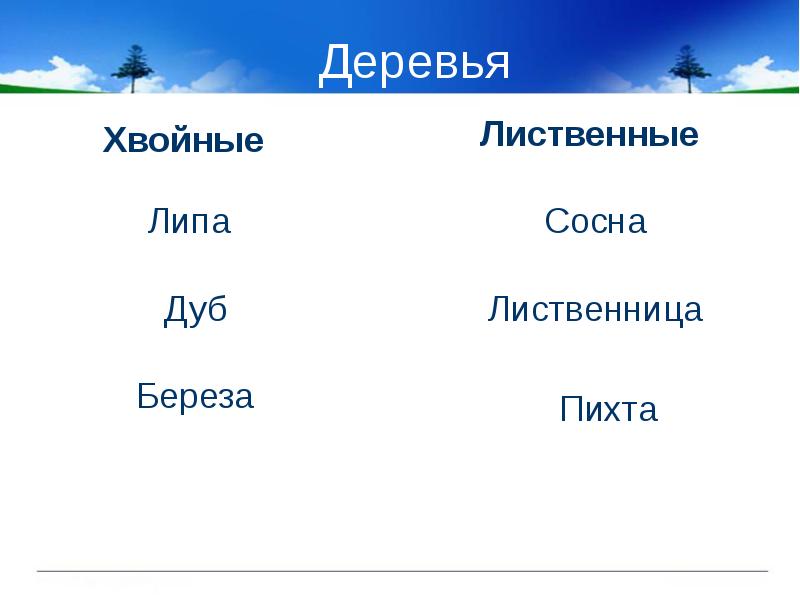 Деревья
Хвойные Деревья
Хвойные