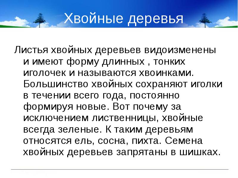 Хвойные деревья
Листья хвойных деревьев видоизменены и имеют форму длинных , Хвойные деревья
Листья хвойных деревьев видоизменены и имеют форму длинных ,