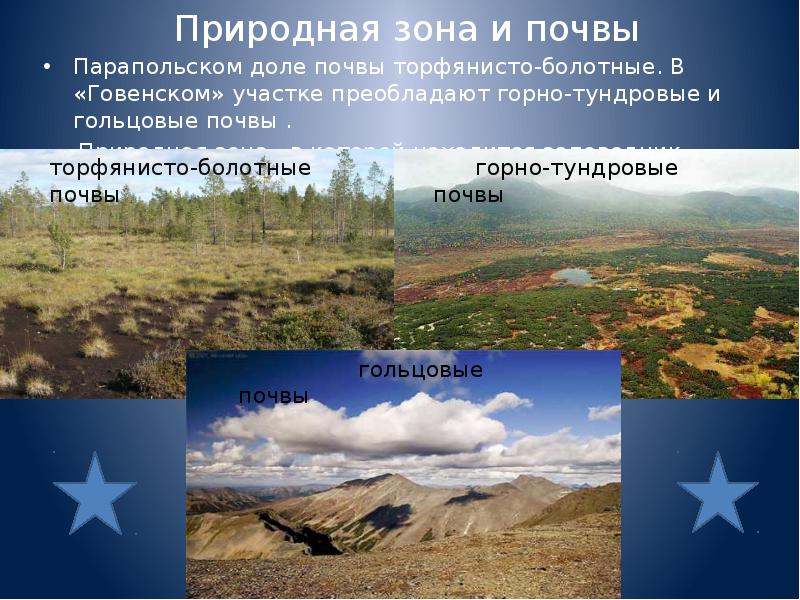 Природная зона и почвы Парапольском доле почвы торфянисто-болотные. В «Говенском» участке