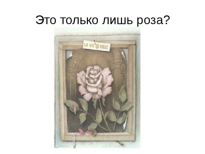 Это только лишь роза?