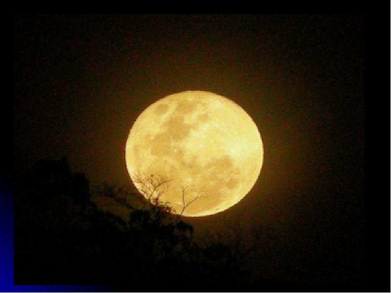 Луна светила из круглой пушистой. Луна. Светящаяся Луна. Полная Луна. Полнолуние.
