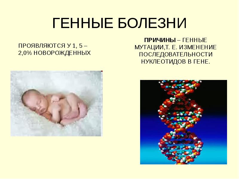 Наследственность и патология презентация