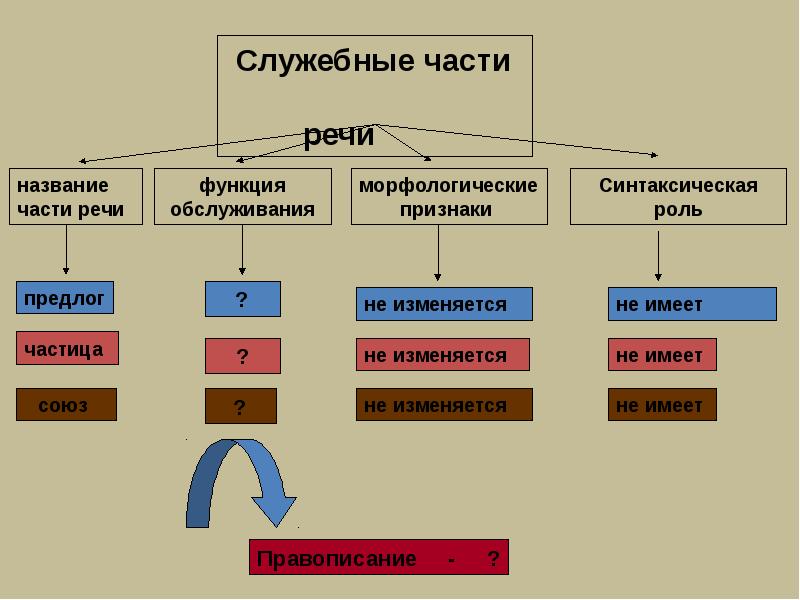 Повторение по теме морфология 5 класс презентация