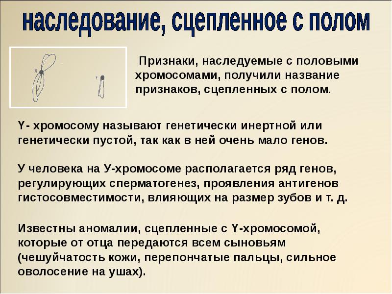 Признаки полома. Генетика пола наследование сцепленное с полом презентация. Генетика пола наследование признаков сцепленных с полом. Генетика пола сцепленное наследование кратко. Хромосомы наследование признаков сцепленное с полом.