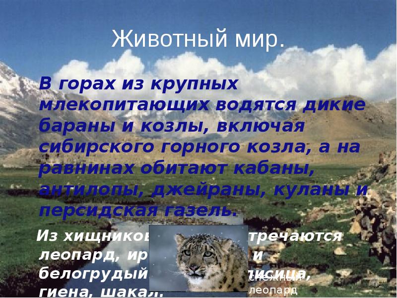 Животный мир.
В горах из крупных млекопитающих водятся дикие Животный мир.
В горах из крупных млекопитающих водятся дикие
