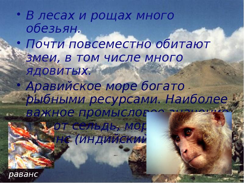 В лесах и рощах много обезьян.
В лесах и рощах много В лесах и рощах много обезьян.
В лесах и рощах много