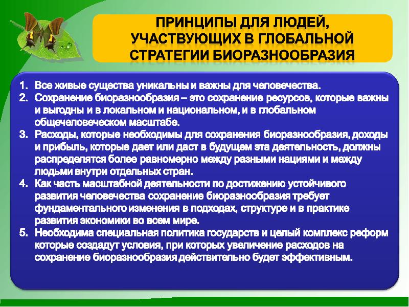 Пути сохранения биологического разнообразия презентация