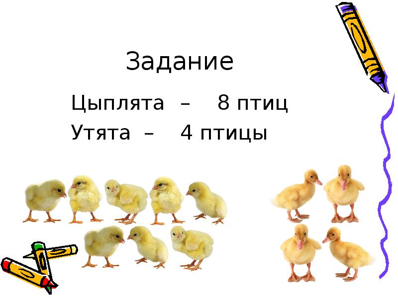 Задание
Цыплята – 8 птиц
Утята – 4 птицы Задание
Цыплята – 8 птиц
Утята – 4 птицы