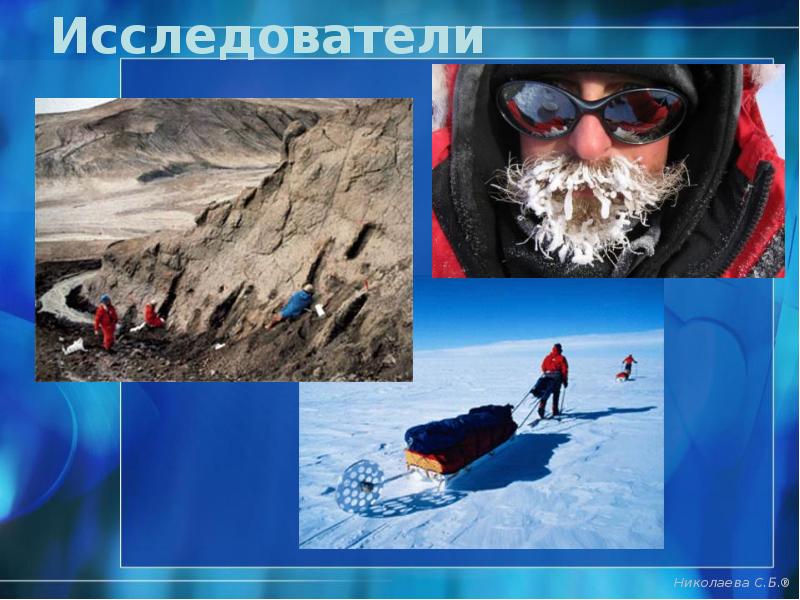 Исследователи Исследователи