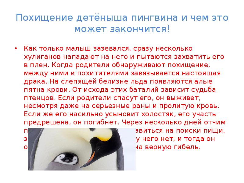 Пингвины моей мамы похожие. Презентация на тему Императорский Пингвин. Пингвины презентация. Пингвины моей мамы чем закончился. Концерт для пингвинов изложение 3 класс презентация.