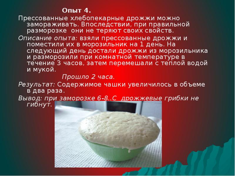 Проект про дрожжи