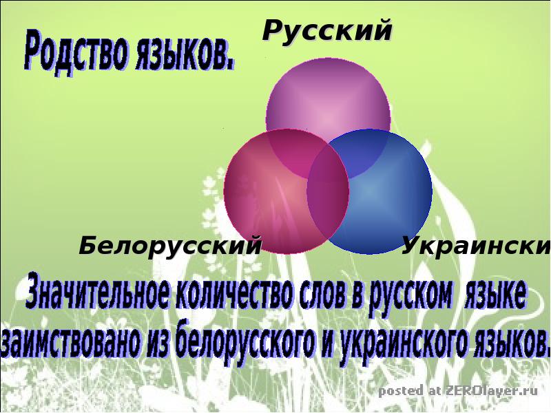 Биография слово здоровый. Слово биография для презентации. В чем смысл презентация.