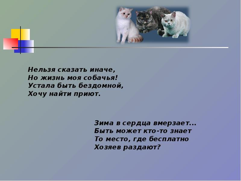 Ты в ответе за тех кого приручили 4 класс презентация