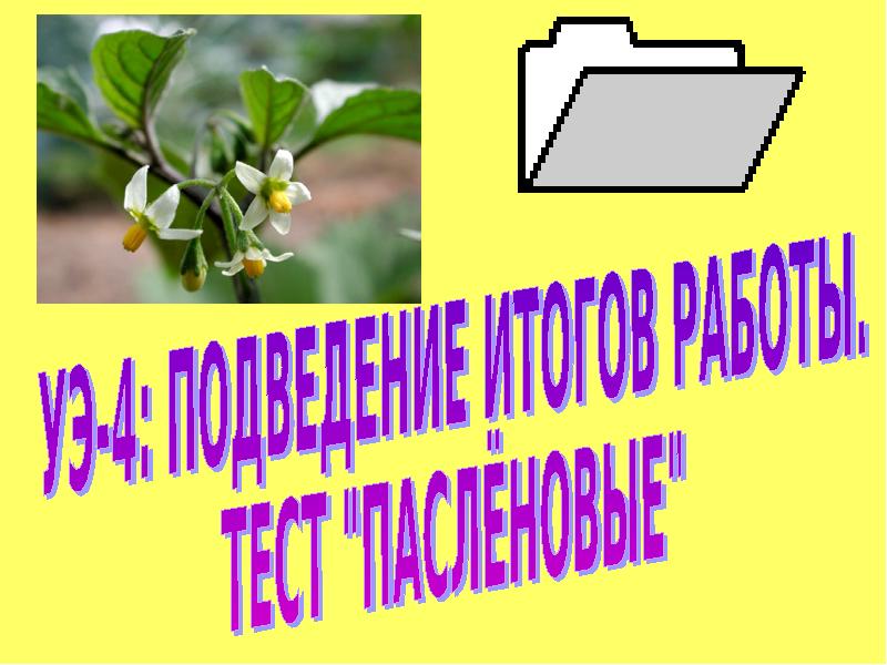 Пасленовые 6 класс презентация