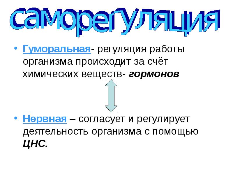 Гуморальная регуляция это. Регуляция деятельности организма. Гуморальная регуляция деятельности организма. Гуморальная регуляция человека. Регуляция деятельности организма осуществляется с помощью.