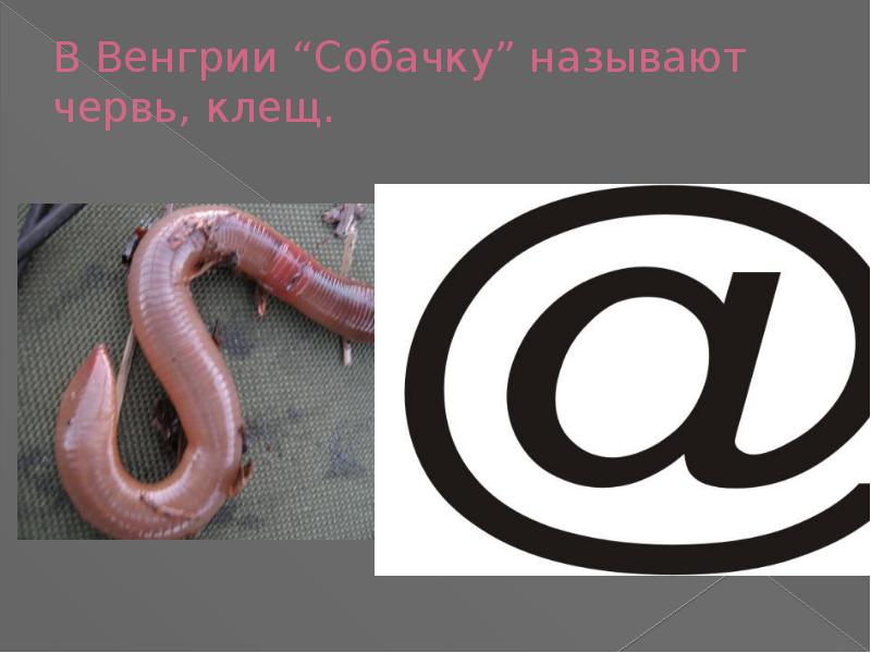 Почему собака символ. Собака символ. Почему символ @ называют собакой. Как появился знак &. История знака @-собаки.