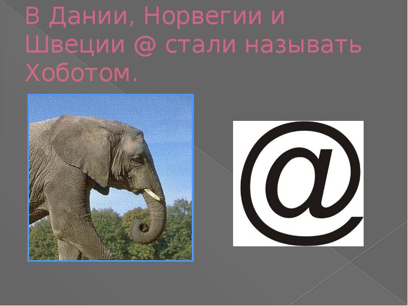 Почему символ собака назвали собакой. Собака знак. Как называется символ @в разных странах. Как называется в разных странах знак собака. Почему символ называется собака.