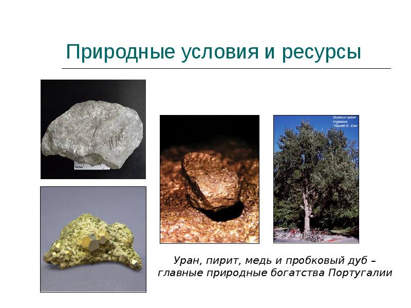 Природные условия и ресурсы Природные условия и ресурсы