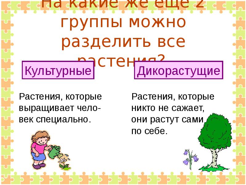 Дикорастущие и культурные растения 2 класс технологическая карта