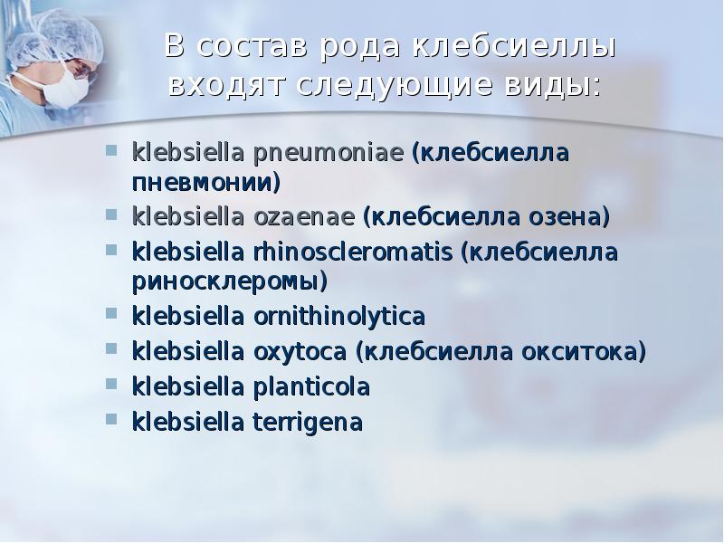 В состав рода клебсиеллы входят следующие виды:   klebsiella pneumoniae