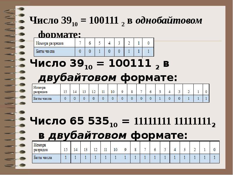 8 разрядный формат чисел. Однобайтовый Формат представления числа. Отрицательное число в однобайтовом формате. Число 17 в однобайтовом формате. Номера разрядов биты числа.