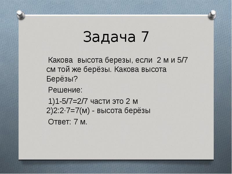 Высота березы. Какова высота. Высота рябины 2м 5см. Высота берёзы 15.