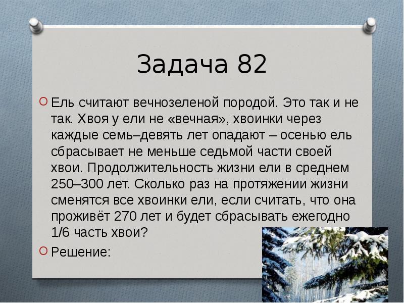 Ели и задачи. Ель как известно считают вечнозеленой породой но это не.