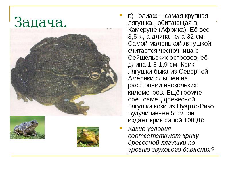 Задача. в) Голиаф – самая крупная лягушка , обитающая в Камеруне