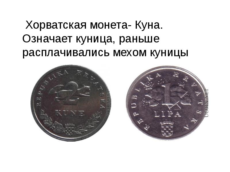 Хорватская монета- Куна. Означает куница, раньше расплачивались мехом куницы