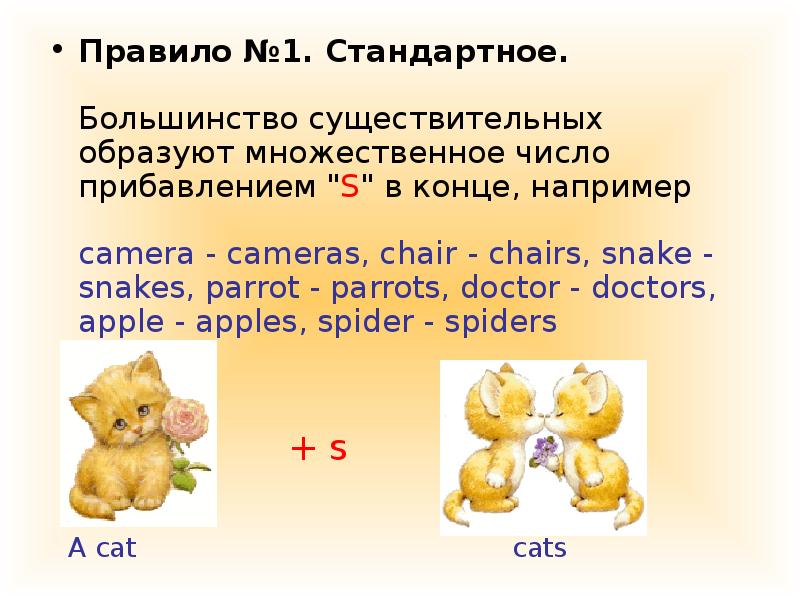 Множественное число презентация