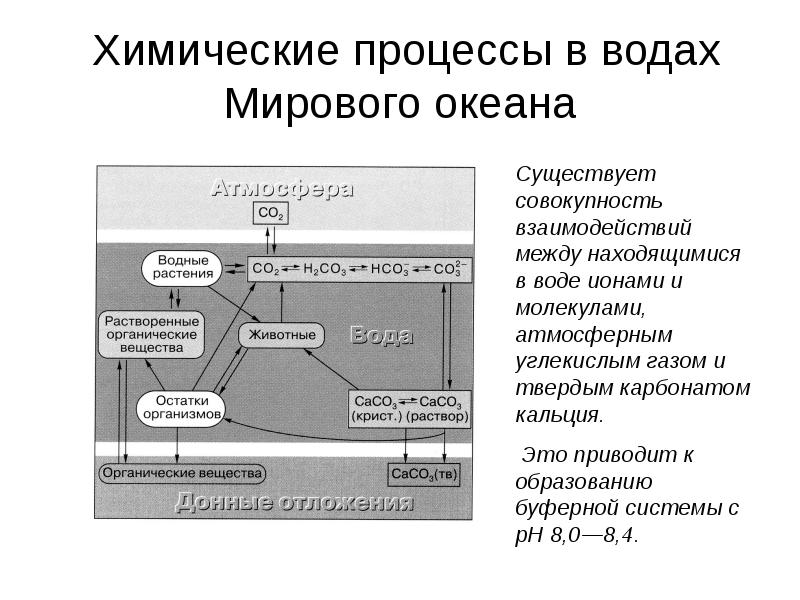 Химия и окружающая среда презентация 11 класс