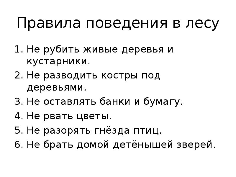 План поведения в лесу 2 класс окружающий мир