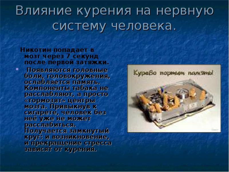 Влияние курения на нервную систему человека.
Никотин попадает в мозг Влияние курения на нервную систему человека.
Никотин попадает в мозг