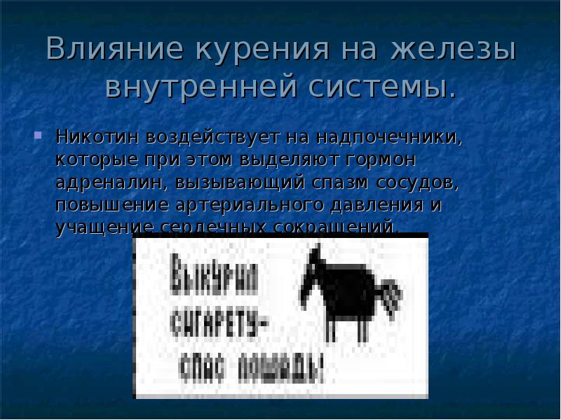 Влияние курения на железы внутренней системы.
Никотин воздействует на надпочечники, которые Влияние курения на железы внутренней системы.
Никотин воздействует на надпочечники, которые