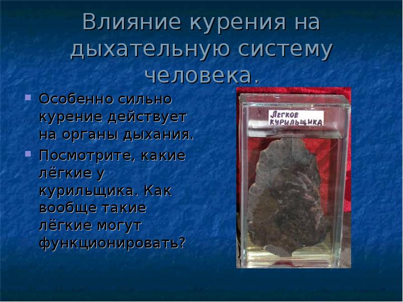 Влияние курения на дыхательную систему человека.
Особенно сильно курение действует на Влияние курения на дыхательную систему человека.
Особенно сильно курение действует на
