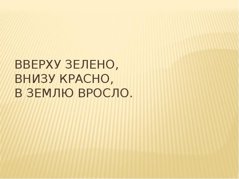 Вверху зелено. Вверху зелено внизу красно в землю вросло. Вверху зелено внизу красно. Сверху зелено снизу красно в землю вросло ответ. Отгадка вверху зелено внизу красно  в землю вросло.