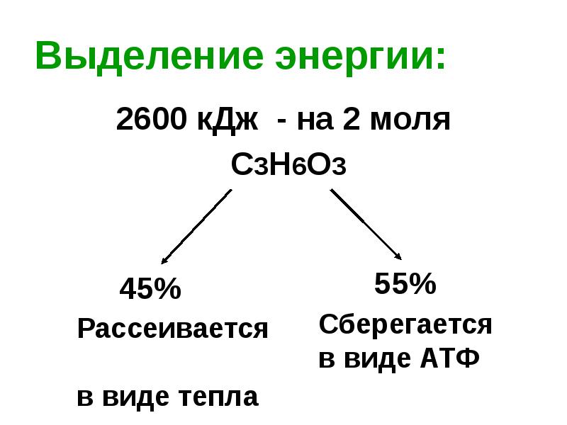 распад белков жиров и углеводов. как происходит выделение энергии в клетке. при образовании связи выделяется энергия. откуда берется энергия в 40 кдж. наибольшее выделение энергии.