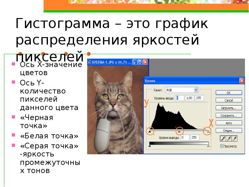 Основы коррекции. Серые точки в интерфейсе программы. Четвероногие друзья канал истограмма.