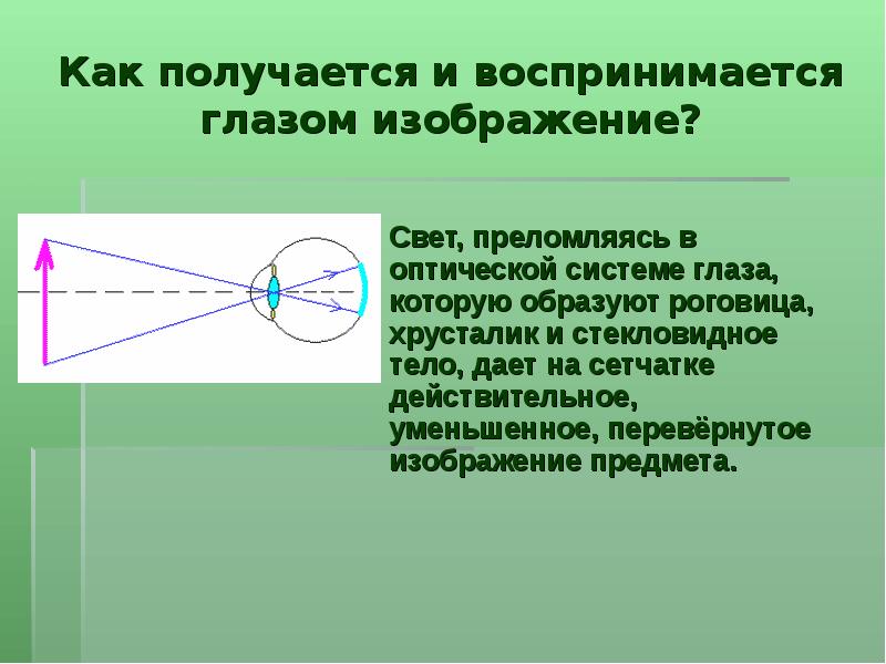 Какое изображение видит глаз. Изображение предмета на сетчатке глаза. Как получается и воспринимается изображение глазом. Построение изображения в глазу. Перевернутое изображение на сетчатке глаза.