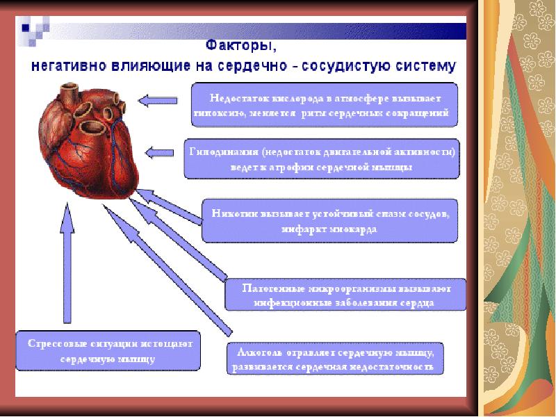 Средства влияющие на сердечно сосудистую систему презентация