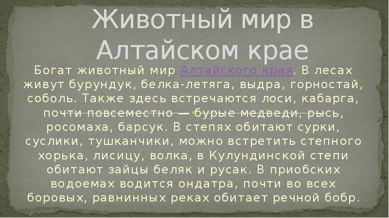 Доклад по теме Алтайский край